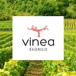 Vinea Energie - Logotype